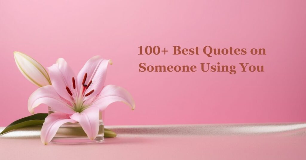 Quotes on Someone Using You